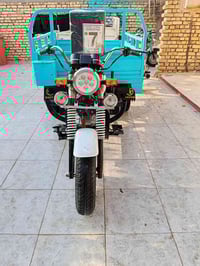 ستوته كلك • اوراق ضايعه • معمره