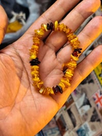 سوار كهرب • بولوني • ١٥