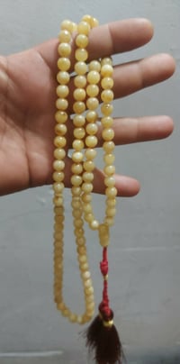 كهرب بولوني • ١٠١ حبه • ٨.٥ ملم