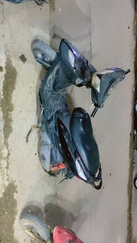 دراجة ثعلب • كامله • الشعب سوك شلال