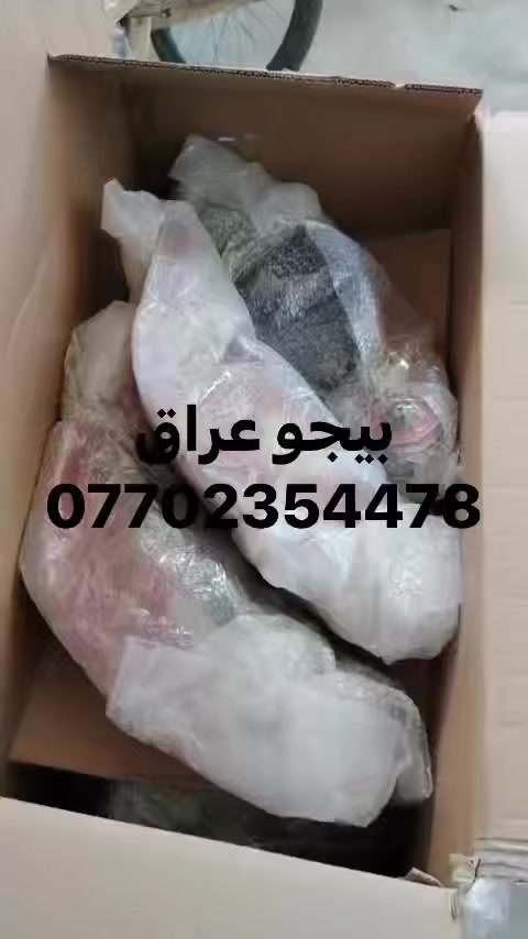 الحمدلله 
ماشاء الله 
وصول منتجات جديدة لبيجو عراق 
ترقبوا النشر
