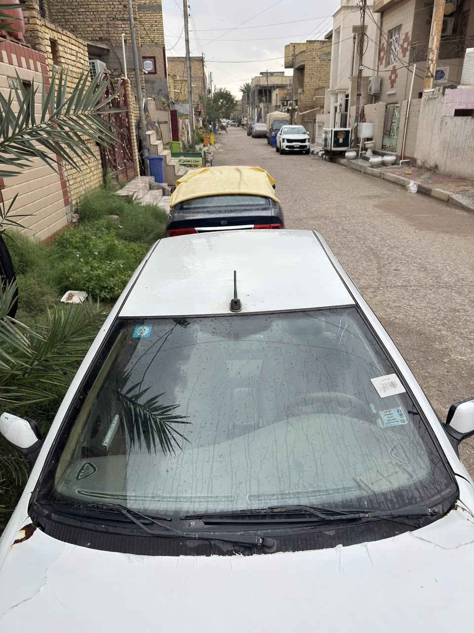 12رقم واسط للبيع كير محرك تبريد مكفولات (طاير بيه البنيد والباب الصدرصبخ ربع منه بدون تبديل )تخم تاير السياره بسمي لل29السعر 36الاستفسار ***********
