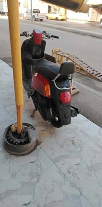 ماكس بوليس • كافله • كهرباء سلف