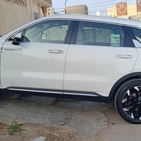 سورنتو • ٢٠٢٥ • رقم اربيل