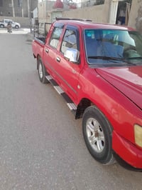 دير • 2010 • مصبوغه