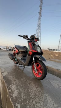 سكنس جبلي • كفاله • چويتر