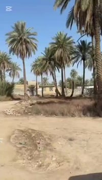 سند٢٥ • ٧٠٠م • حله ورديه