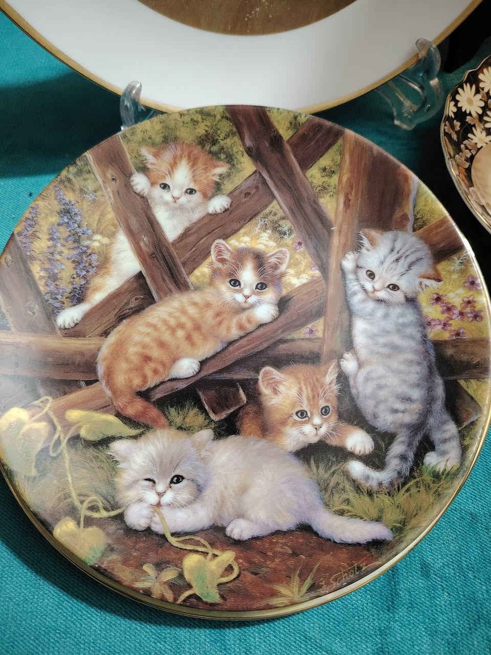 نسأل الله أن تكون ايام العراقيين خير وبركه وسعاده اللهم احفظ العراق شعبا وارضا وسماء توصيل لكل المحافظات لباب البيت تابع الصفحه ليصلك كل ماهو جديد اسعارنا غير وغايتنا ارضاء الزبون تواصل ماسنجر واتساب *********** اهلا وسهلا
