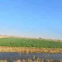 أرض زراعية جاهزة • شريك زراعي جاد • خبرة بالمحاصيل