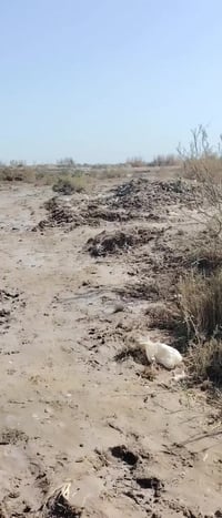 أرض زراعي • ٥٠٠٠م • طريق الشوفه