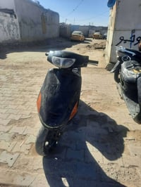 فراشة • للبيع • خاص