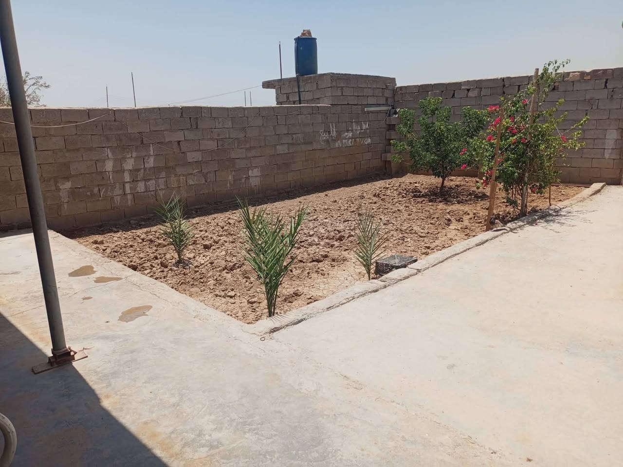 توكلنا على الله
منزل مساحه 500متر بناء 200متر سقف سندويتش الدار تتكون من 3غرف نوم 4*5 وصالة مشتركه وستقبال 5*8ومطبخ 4*5 وحديقة أمامية موقع على شارع عرضه الشارع15متر فرع مستقل والشراي يتصل على الرقم ***********
