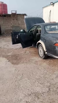 مارك • بصرة • مكفوله