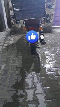 بوكسر • ٢٣ • مرقم بغداد