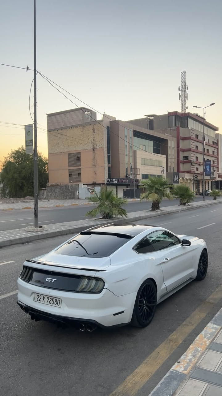 شونكم حبايب
بيع فقط بدون اي مراوس لان سعره حلو وبلعافيه عل مشتري

موستانك سته سلندر 2017 

حادث چاملغ وبنيد وباب مصبوغ

بدون اي دواخل لغد شاصي كفاله 

صور الحادث بلمنشور

ماشيه 98 

گير مكينه اكسل تبريد مكفولات

تخم وياله تراك بكج 

بگ لايت سموك 

دفيوزر دبل گزوز وهواي شغلات بيه 

جاهزه للاخير 

بيع شكم ملاحضه بسيطه فقط ملاحضاته ميكلفن ٣٠٠ دولار

رقم اربيل تحويل او وكاله اليعجبك

سعره 125 ورقه وبيه مجال 

مكاني بغداد المنصور 

ممتواجد خاص 

***********واتساب

