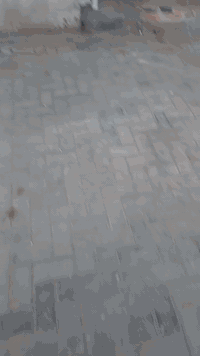 منطقة حطين • شارع الإمام علي • ١٢٥م٢