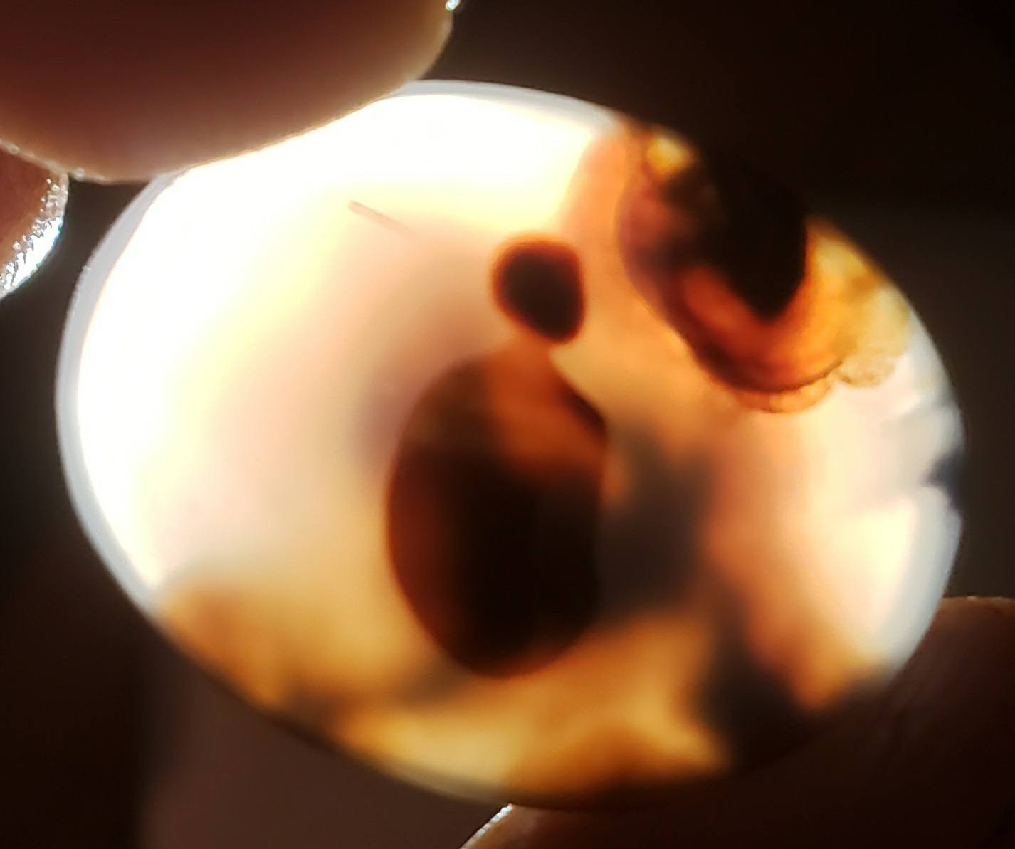 عقيق مصور يماني اصلي طبيعي رباني راقي يسعدنا تلقي استفساراتكم على الخاص
#العقيق_اليماني_الاصلي_الطبيعي


**إذا كنت صاحب هذا الإعلان وتريد حذفه لأي سبب، رجاءا أرسل رسالة إلى الدعم الفني**