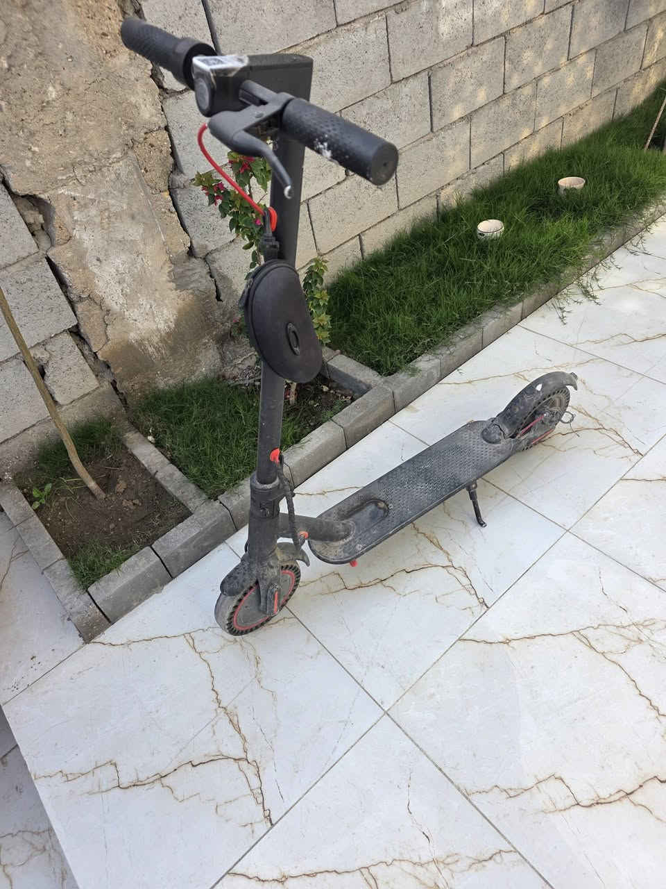 سكوتر شحن للبيع القرنه


**إذا كنت صاحب هذا الإعلان وتريد حذفه لأي سبب، رجاءا أرسل رسالة إلى الدعم الفني**