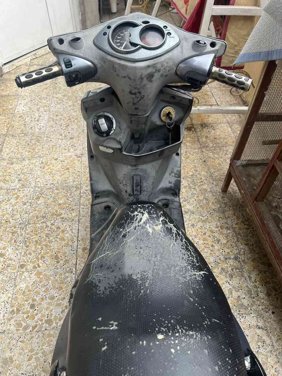 السلام عليكم سكنس فحل ياباني قبق نفخ مكفولة من كلشي كهربائيات كلها شغاله نكره بكل وقت جاهزه وين متريد شغل واطلع شاشه شغاله سلف هندر طستها ناعمه والدراجة احلى مال جني من الصور مكاني مدينه الصدر السعر 850 بيها مجال قليل ***********
