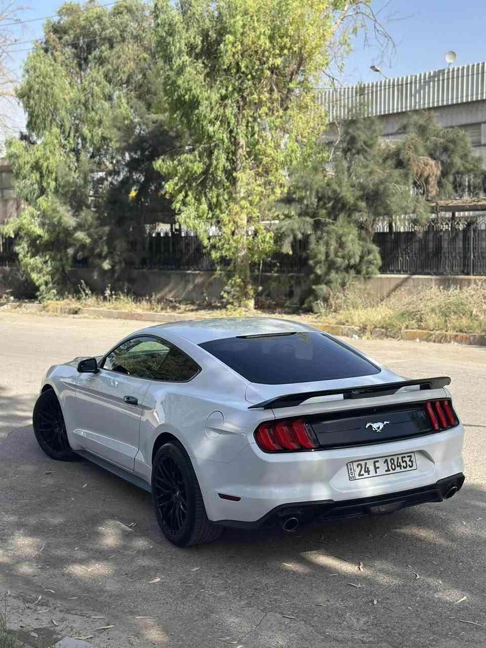Ford mostang 2018 ecobust  
‎سبوغ 3 پارچە كلێری ئەمریكا بێ دەحم بێ ئێڕباگ 98 مایل ڕۆشتیە گێڕ و مەكینەی بە شەرت ، شوێن هەولێر
‎نرخ : 129وەرقە و مجال 
***********

السلام عليكم الاخوان ..
فورد موستنج 2018 ايكوبوست
‎وارد امريكي سيارة مواصفات احتيادي
‎ماشیە٩٨ مايل .. 
‎كير محرك بشرط مامفتوح .. 
‎سيارة مابي نواقص جاهززة من كلشي  .. 
‎بي ٣ قطع بس كلير بدون دواهل و ايرباك ماطاك ..
‎ سعر: ١٢٩ورةقةبهامجال
‎مكان سيارة اربيل 
*********** أربيل, العراق
