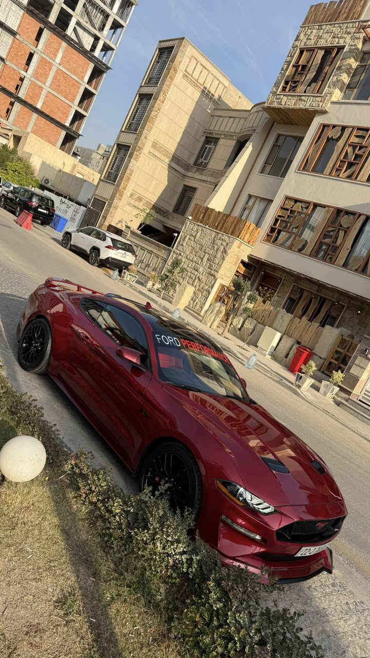 موستنك GT 2022 بريميوم تراك بكج Pp1

سلام عليكم فورد موستنك GT 2022

من فئات قليله بل عراق تجي كشنات ريكارو وسقف كنتار اصل من امريكا راديتر اكسل صدر ودبل كهربائي يختلف فجوج 6 بستم وليس اربعه نفس مال جي تي بقيه فولل اعلى شي تجي بل مواصفات

مكينه (8سلندر) 5000cc

كير اوتو (10)نمر

السعر (260)شدتين و ستين ورقه  وبيها مجال بسيط للشراي

ماشيه(30 الف)ميل

مكان (بغداد-الحارثيه)

لون (كرزي مميز)

رقم تلفون (***********)

رقم اربيل الجديد فحص هزة جديد وسنويه باسمي تحويل ثاني يوم يعني ما تحير بصوت اكزوز لو وشومات لن هزة جديده

سياره حادثها ربع جاملغ امامي وربع بنيد  جاملغ مبدل وكالة بدون معجون وبدون صبغ نفس لون

(قطعه وحده صبغ فقط بنيد) بدون دواخل كفالة من جكه الابره ايرباك راجع سستم لا راديتر لا مروحه ايشي يخص مكينه مواصلته ضربه نهائي وصور الحادث بل منشور

وساحب تقرير  كار فاكس مالتها  بفلوس ايضاً ما بيها اي حادث مسبق ب امريكا او غرق الي يحب راسلني واتس ادزهله تقرير

سياره كير مكينه اكسل كاردن صدرها بحالة الوكالة برغي ما مفتوح بيها بجم كبس البراكيته اماميه حتى ضربه مواصلتها

سياره من دخلت حد الان مسويلها ادامة وصيانه كامله بشركة  فورد القاصد دهن  وفلتر دهن و فلاتر شوته و تبريد كلة وكالة اصلي

دشبولها ماكو اي كلوب معتلك كله صافي

نجي على مواصفات فول 1/1

١- تشغيل عن بعد

٢- شاشة كبيرة sync 3 كار بلي

٣-اكتف اكزوز حسب المود تفتح بوابات(نورمال-سبورت-تراك)

٤-فجوج بريمبو 6بستم

٥-عداد ديجتال يتغير ثيم حسب المود

٦-دمام صوت بل صندوك وكالة

٧-تحديد مسار

٨-رادار امامي

٩-رادار جانبي(نقطة عمياء)

١٠-رادار خلفي

١١-حساسات خلفيه

١٢-كامرة خلفيه

١٥-ستيرن تدفئه هيتر

١٦-خمس وضعيات قياده(نورمال-سبورت-تراك)

١٧-ترحيب بل مرايه

١٨-هيترات بل مرايه

٢٠-سستم سماعات

٢١-لايت زنون ابيض من وكالة

٢٢-شعار الموستنك ضوئي من الابواب بلادي

٢٣-شعار موستنك ضوئي متغير بل دوسات بلادي

٢٤-كيجات تراك بكج (اويل برشر) و( فاكيوم) بل دشبول

٢٥-كشنات جلد

26-سترس بار فوك مكينه من وكالة

اضافات عليها
1- ولف حماوه مشميتو ١٢٠ دولار

2-اكس بايب+ اج بايب

3-لحية ار تي ار ١٠٠ دولار

4-دوسات جانبيه ام زعنفه ١٠٠دولار

5-سكوب جامه خلفيه ٨٠دولار

6-شفتات ستيرن ٣٥الف

7-وشم قماره وتضليل ب١٠٠دولار

8-صبغ فجوج ولحاية ويل ١٢٠دولار صبغ حراري اصلي

9- تفريغ اكزوز ودوان بايب واكس بايب و لحيم اصلي يم علي وادي اركون من طول لل طول استيل حتى مقاومة للصداء وبوري اعرض ٥٠٠دولار صوته مخيف

10-برمجة طلال فور برذر برمجة سيفتي قطرة دوانز ماكو تستقبل بانزين محسن ٣٠٠دولار

11-شفقه خلفيه على جامه خلفيه ١٠٠دولار

12-لويات تهبيط نصبه سياره ٢٠٠ دولار

13-كفرات مري باتمان

14- اضافة لحية ار تي ار ٩٠ الف

15-لد سموك بل دعاميه خلفية جانبي ب٥٠ دولار

16- لد سموك بل دفيوزر خلفي ب٩٠دولار

17- كاج كان بولت ب120دولار

18- بولش ونانو سيراميك يم NVN ب٢٥٠ دولار

سياره ربع دينار ما بيها مصرف كامله من اي نقص
