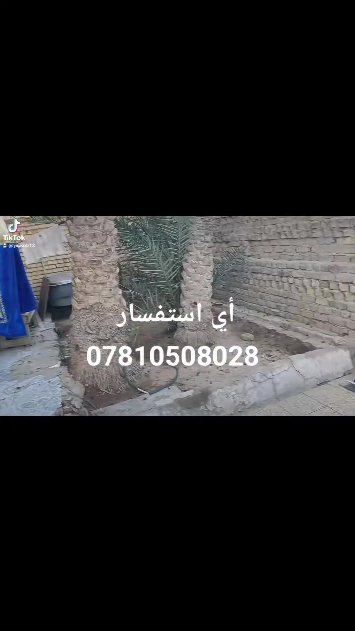 السلام عليكم 
بيت 210م طابو صرف مقابل ساحة خدمات في منطقة ام العصافير نزلة الصناعة 
يتكون البيت من غرفتين وصالة وستقبال ومطبخ وصحيات داخليه وخارجيه وطارمه وحديقه ومخزن وتهويات وطابق الثاني يتكون من غرفتين وصالة وصحيات وسطح البناء درجة أولى كونكريت السعر 90 مليون 
أي استفسار مراجعة مكتب الحي للعقارات والمقاولات العامة او الاتصال ***********واتساب ملاحظة نسعى لخدمتكم ومستعدين لعروض عقاراتكم ونسوق حسب طلبكم
