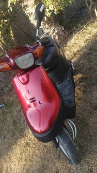 بطة • للبيع