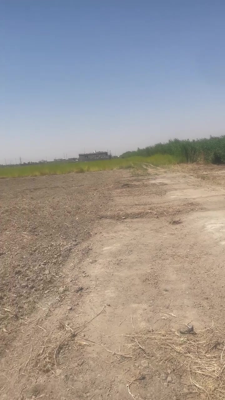 دونم للبيع واجه 40 متر يباع دونم أو أكثر طابو سند 25 (تحويل أسهم بأسم المشتري) متوفرة كافة الخدمات/ماء/ كهرباء/ مدارس/ مركز صحي/ الموقع كربلاء - منطقة الجذار   شارع نجف كربلاء عمود 1141 تبعد عن مركز مدينة كربلاء 15 كيلو تصلح سكن أو منتجع ترفيهي أو حسب رغبة المشتand
*********** /***********
