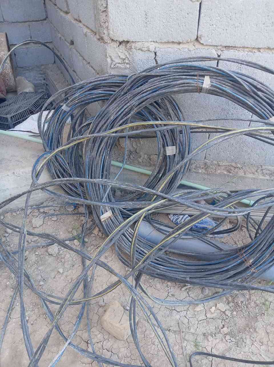 ضفيره للبيع للاستفسار الاتصال *********** السعر قيم وخذ بل يرضي الله
