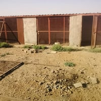 أرض زراعية النجف • قطعة أرض الحيرة • أرض للبيع النجف • أرض زراعية المر...