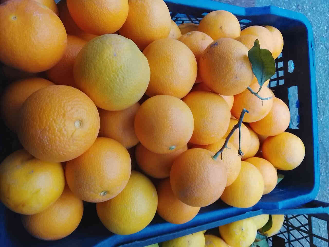 صباح الخير
توصيل داخل بعقوبة مجاني مجاني مجاني 
رقم الهاتف واتساب ***********
