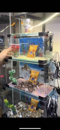 كلمن • توصيل كربلا • موجود