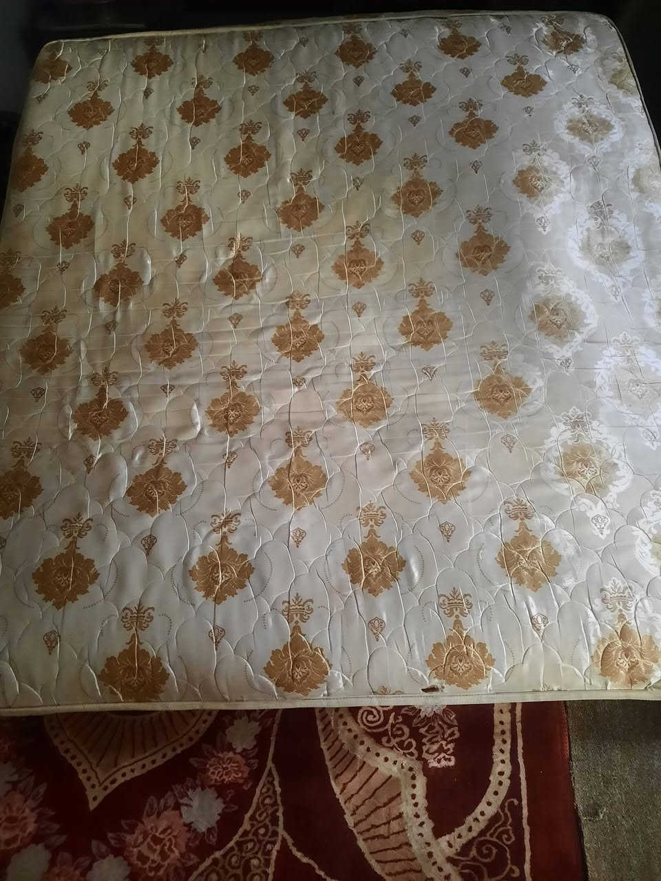 اثنين دواشك مال جربايه للبيع


**إذا كنت صاحب هذا الإعلان وتريد حذفه لأي سبب، رجاءا أرسل رسالة إلى الدعم الفني**