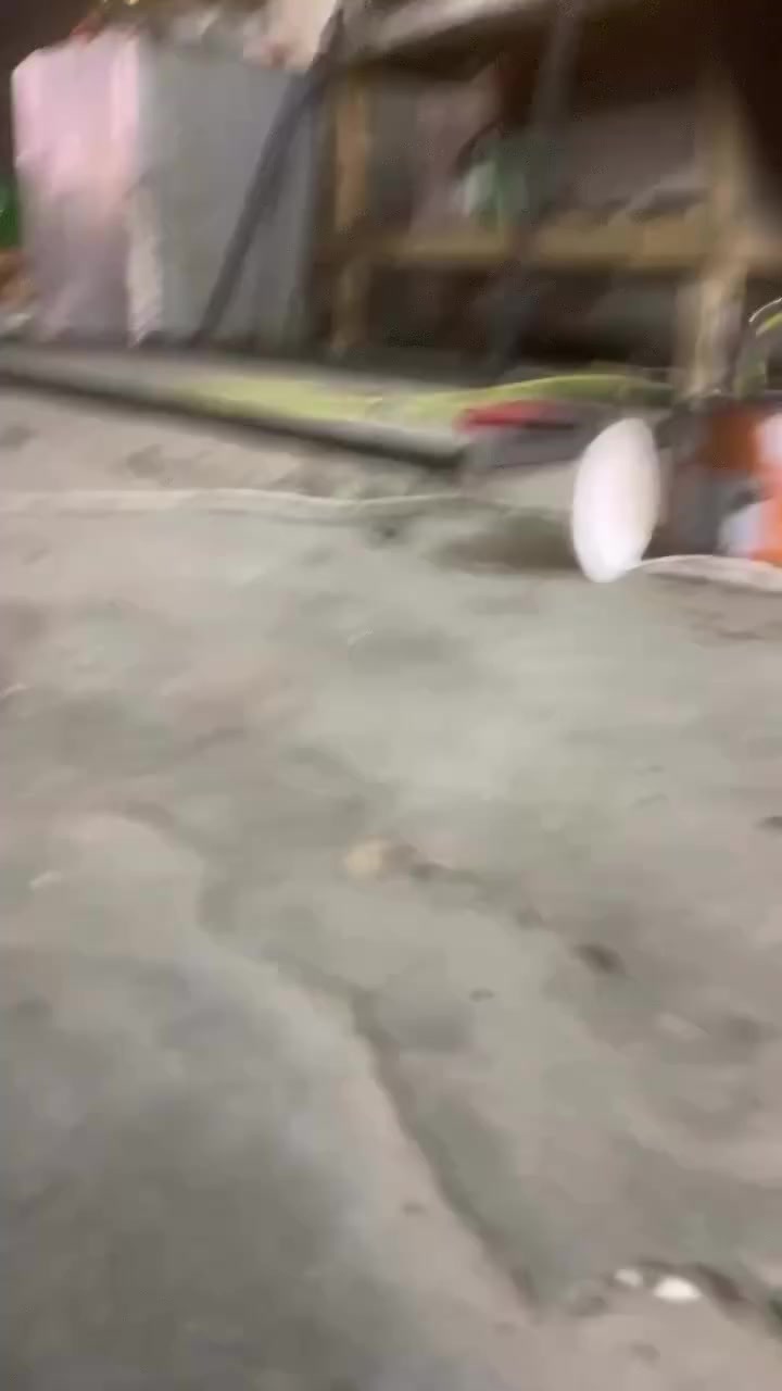 سم الله الرحمن الرحيم ⚠️‼️
كادر حداده اسامه البياتي 
نعمل سقايف + كرفانات+ اقفاص حيوانات +تثبيت شبابيك حديد +تثبيت ابواب بي في سي + ديكورات + كعدات عربيه 
للستفسار *********** رمادي انبار
