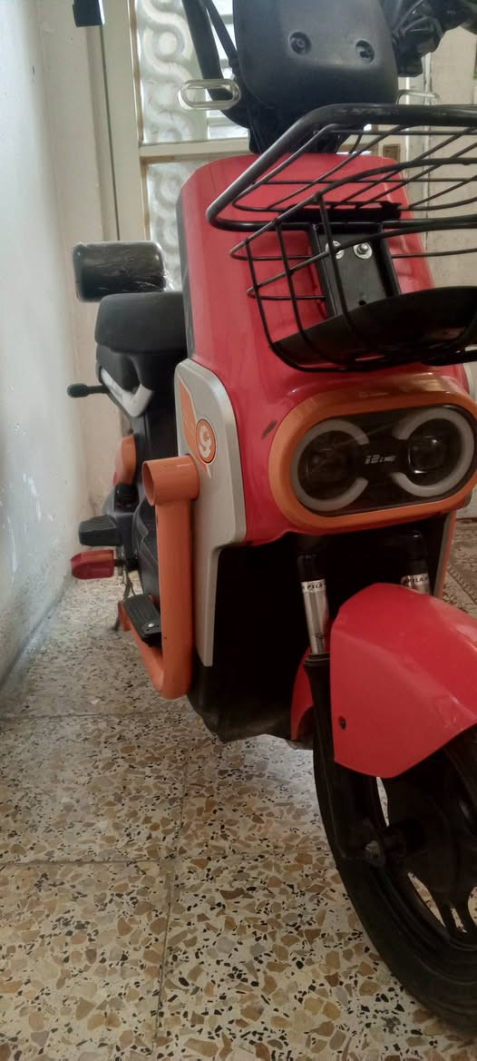 سلام عليكم 
للبيع دراجة شحن موديل2025 من MR KOREA بطاريات منفوخة شغال من ناحية كهربائية إشارة لايتات شاحنة من نوع العداد حط بطاريات وتوكل بالله حجمة دراجة 14بريك امامي خلفي سعر200
مكان كربلاء المقدسة الاسكان الأطباء
اني اخذتة 450 ابيعة 200 شراي خاص
رقم*********** وبي واتساب اذا تريد 

((ملاحظه مهمة:بس شراي يجي يراسل ال موشراي لا يخابر لأن اكو (بعض)ناس مو كد الحجي يسوي ويحجي وماكو بس حجي))
