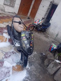 ماكس عدل • قيلة • مراوس عادي