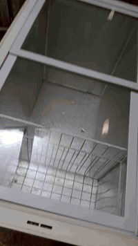 الحبيبيه • مجمدة • استعمال قليل