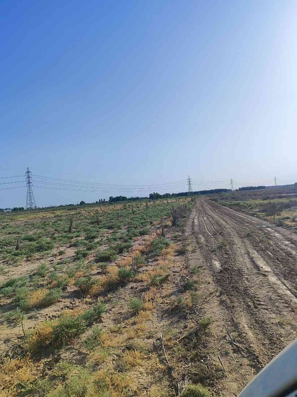 سلام عليك دوانم للبيع حسب الطلب والطقطيع الموقع بغداد بعد الجسر  الفرنسي على ام العبد  قرب الصحابي عبد الله ابن الخباب  مقابل المنتزه مجود من دونم ال 6 دوانم  الدونم  سعره 26  مليون  موجود بي كهرباء  وماء بير وحلو  الرقم ***********  واهلا وسهلا
