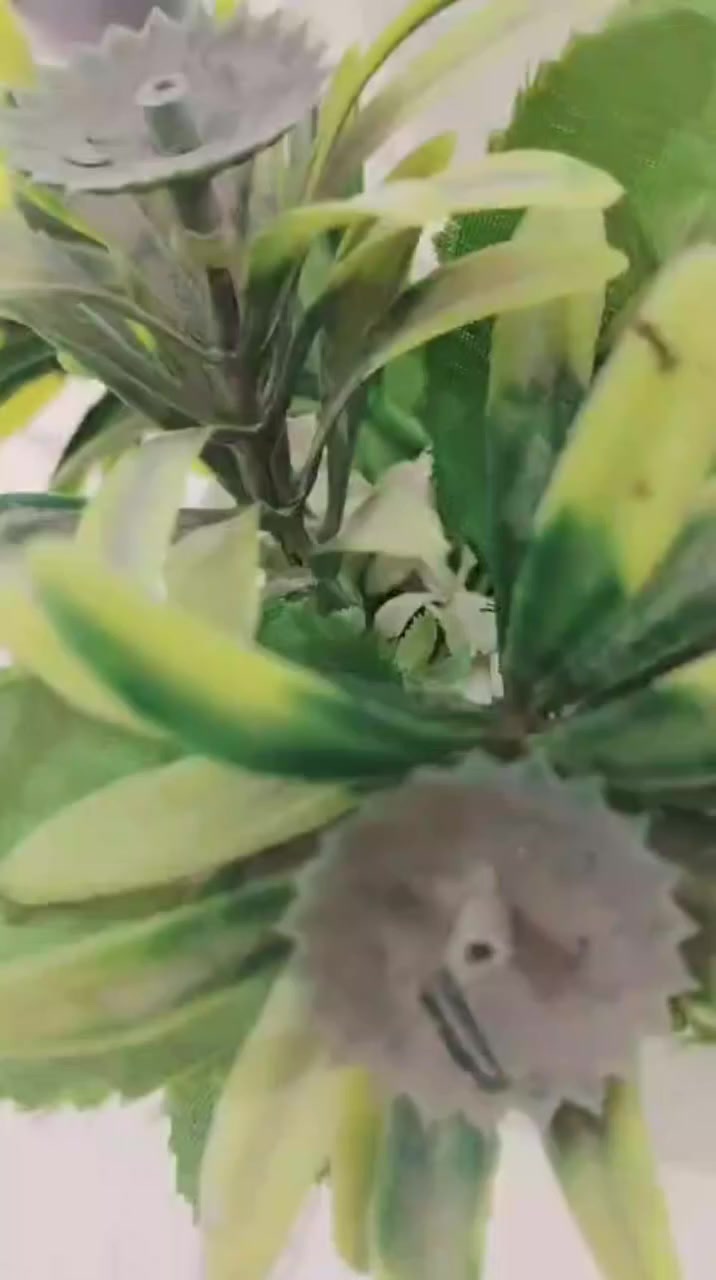 غرفه نوم توج خشب عراقي صاج صبغ حراري السعر 550 الف وبيها مجال
العنوان الرمانه منطقه البوعبيد للاستفسار *********** او واتساب
