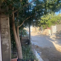 بالاويه شارع صافي • ١٥٠م • طابو زراعي