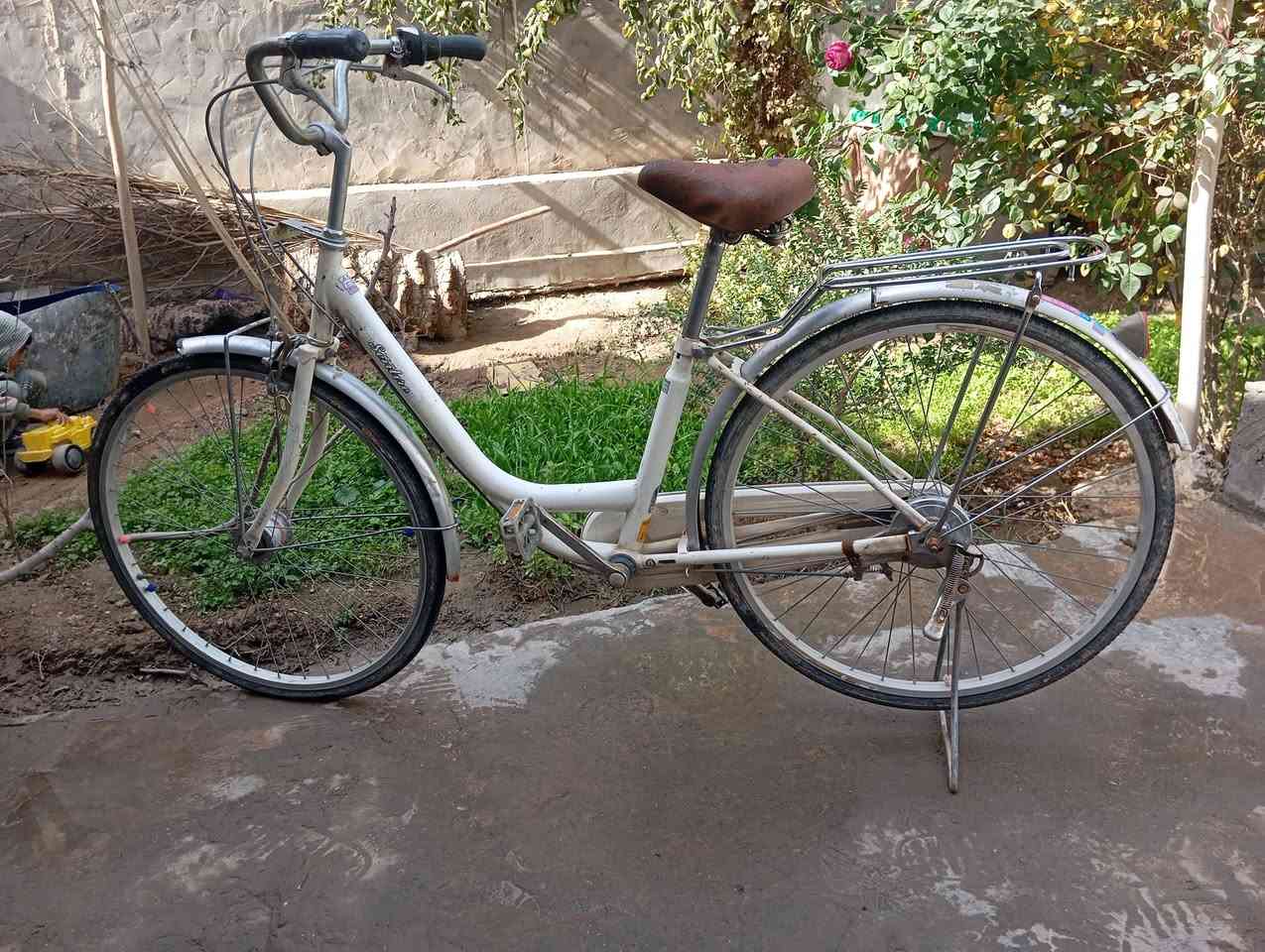 مكاني طويريج اثنينهم 80


**إذا كنت صاحب هذا الإعلان وتريد حذفه لأي سبب، رجاءا أرسل رسالة إلى الدعم الفني**