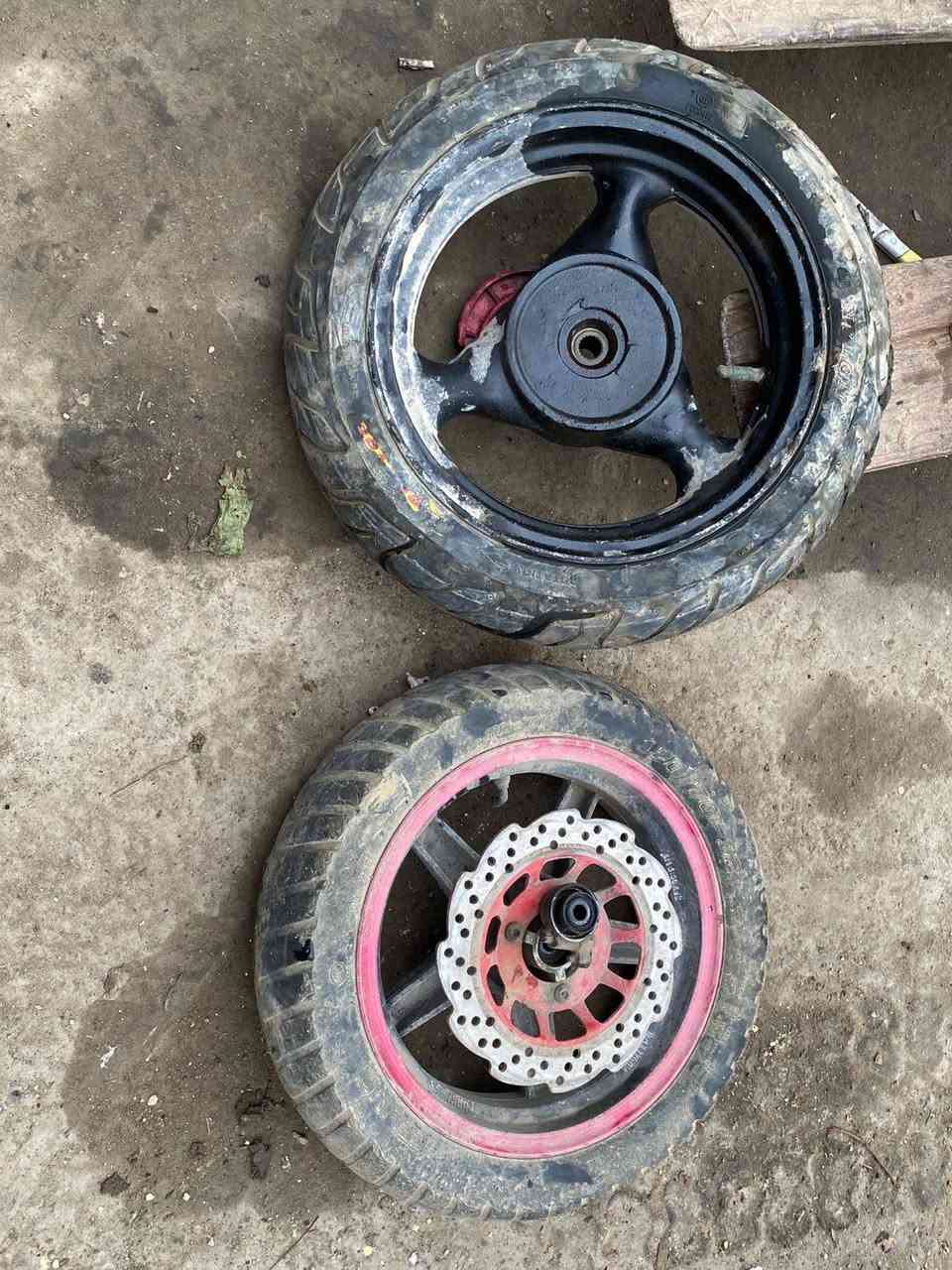 غراض تفصيخ سكنس جبلي ***********
