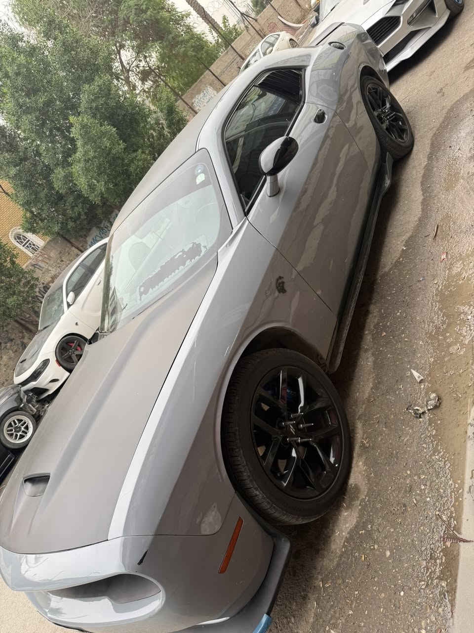 جالنجر gt
موديل 2021 
لون سمنتي 

مواصفات السيارة : 

شفتات ستيرن 
تشغيل عن بعد 
حساسات خلفية 
شاشة وسط 
تحكم مري 
تدفئة وتبريد كشنات 
كشنات حضن 
 

حادث السيارة : 

صبغ قطعتين الجاملغات الامامية وتبديل باب عكس السايق فقط !!! 
ايرباك بردات فقط 
الاضافات : 

بولش ونانو سيراميك 
تخم تاير جديد  
اويل كاج كام ( بولت ) 
دبل اكزوز ريمونت بوابات صوت طرب 
دواخل كاربون فايبر بل كامل 
دمام صوت خلفي 
دفيوزر خلفي ابو اللد الخط 
حلوك اكزوز ( كورسا ) 
لايتات زينون ضمان 
شفقة srt 
فجوج srt 
دوسات srt 
دعاميه اماميه srt 
سكوب مثلثات srt 
ستد طلقة تخم 
ارضيات السيارة حظن 
/// الدفيوزر الخلفي موجود 
/// الدبات الوسطية موجودة 
/// ستد بلادي موجود 

 للاستفسار : *********** 
السيارة بأسمي رقم سليمانيه تحويل ثاني يوم 
مكان السيارة بغداد
السعر 190$ وبيها مجال بسيط
