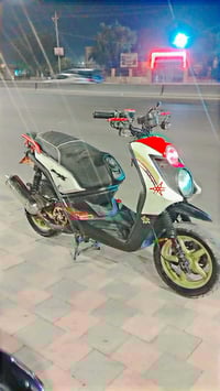 سكنس جبلي • كفالة عامة • نجف