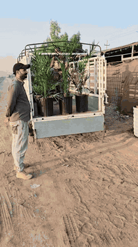 ***********
***********
