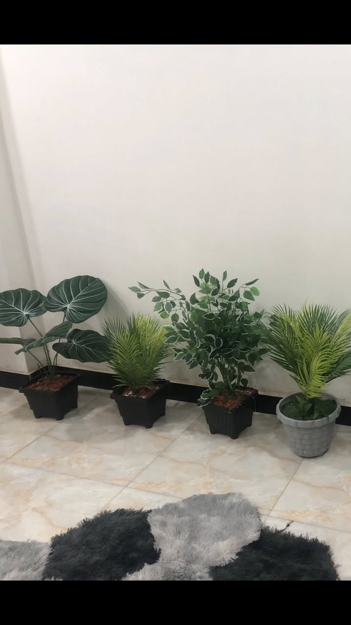 للبيع بغداد الشعب كل سبعه ب٥٠


**إذا كنت صاحب هذا الإعلان وتريد حذفه لأي سبب، رجاءا أرسل رسالة إلى الدعم الفني**