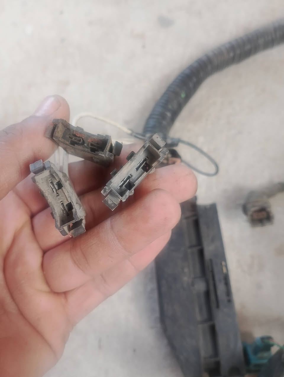 ضفيره سمند للبيع بغداد مدينة الصدر


**إذا كنت صاحب هذا الإعلان وتريد حذفه لأي سبب، رجاءا أرسل رسالة إلى الدعم الفني**