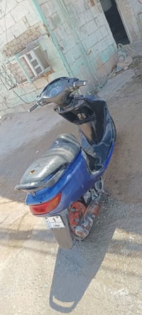 فراشه • سلف • شغال