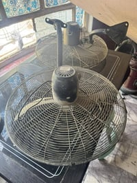مراوح • مجمده • جديده