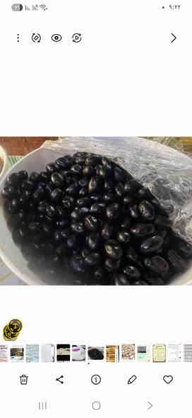 السلام عليكم
عرض لهذا الاسبوع 
العرض الاول ٧٠٠٠ فقط 
ربع قيمر عرب 
ربع جبن عرب 
مع جيس زيتون اسود 
مع هديه علبه دبس اشقر 

العرض الثاني ١١٠٠٠ فقط 
ربع قيمر عرب 
ربع جبن عرب نص ملح 
ربع جبن ديلمه 
كليو لبن ناشف 
كليو لبن شنينه 
جيس زيتون 
ربع طرشي خيار 
مع هديه علبه دبس اشقر او عسل 
العرض الثالث فقط مجاني ٢٥٠٠٠ فقط 
ربع قيمر عرب 
ربع جبن عرب 
ربع جبن ديلمه 
كليو لبن شنينه 
كليو لبن ناشف 
ربع زيتون 
ربع طرشي خيار فقط
ربع دهن حر درجه اولى 
ربع زبدعرب 
علبه راشي هيت 
علبه دبس اشقر 
علبه كبيره مربى 
مع هديه علبه عسل 
التصال ع الرصيد والواتساب 
***********
العنوان حي الجهاد قرب مكتبه ساندي بيل وقرب حسينيه الزهراء 
ويفضل المراسله ع الواتساب لكي ارسل الموقع المحل عليه 
أكرر الرقم ***********
